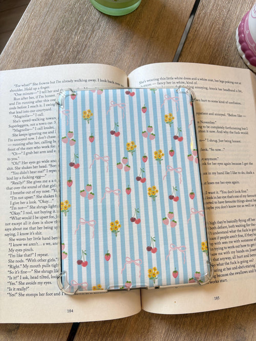 Blue Stripe, flowers and fruit Kindle Insert